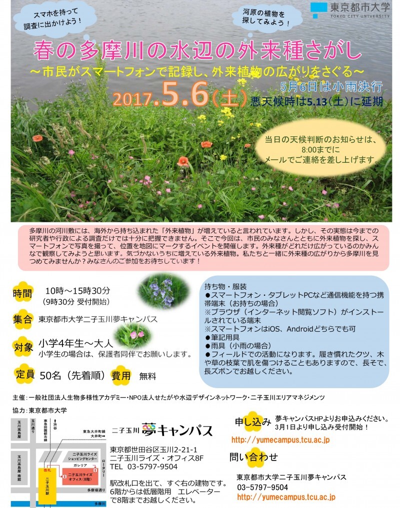 Microsoft PowerPoint - 春の多摩川ポスターとチラシ .